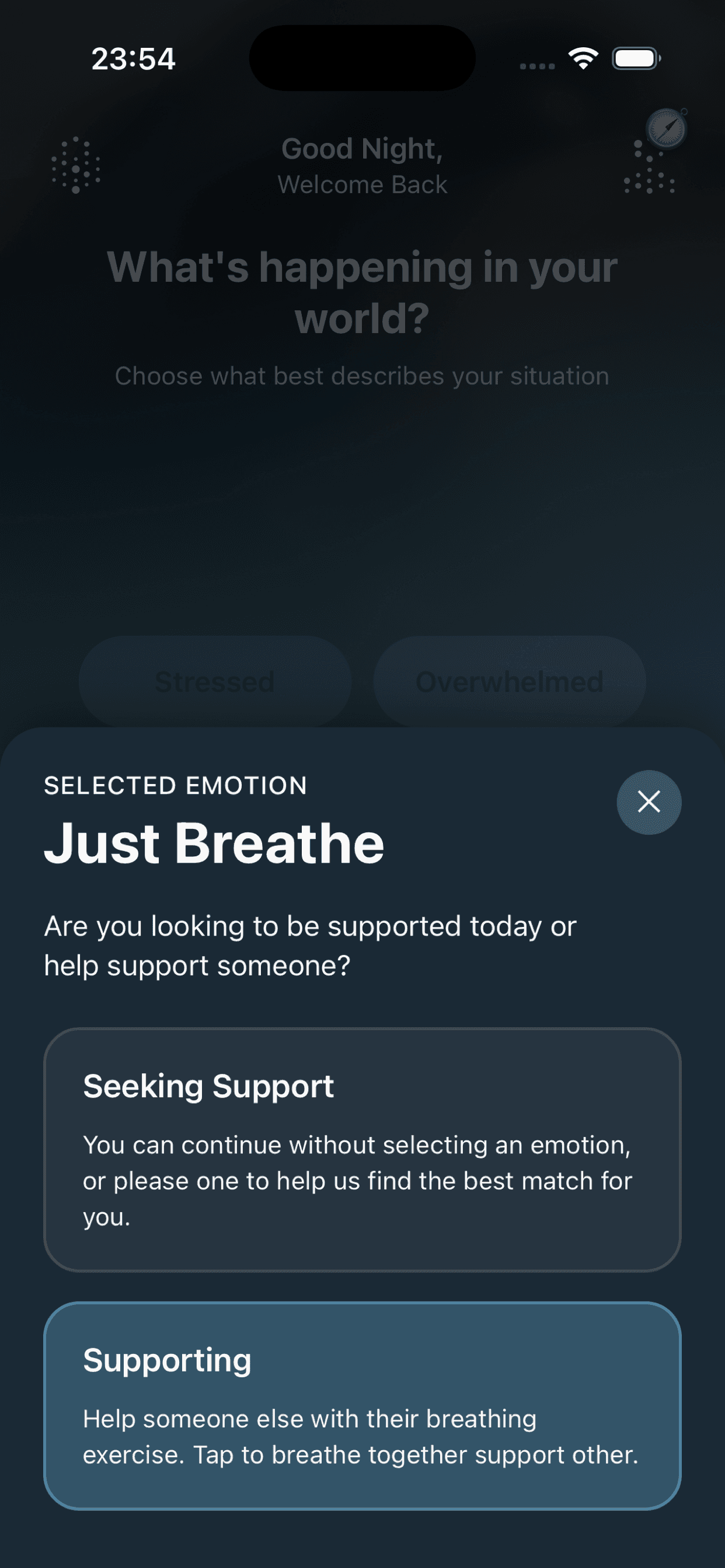 CoBreathe App Screen 4